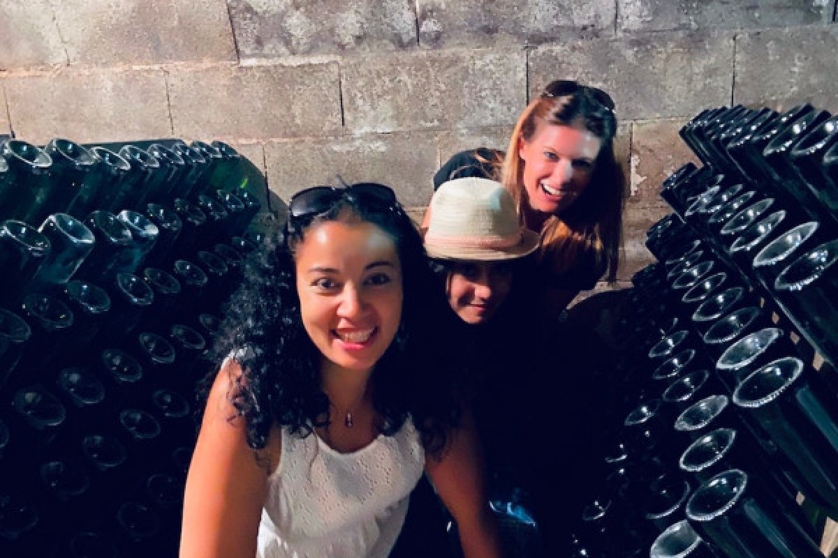 Vendangeur d'un jour à Rilly la Montagne - Bonjour Fun