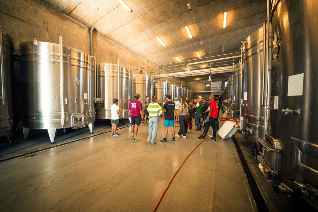 Vendangeur d'un jour le 26 septembre 2026 - Bonjour Fun