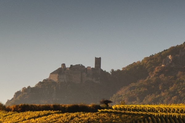 vignoble Alsacien et dégustation - Bonjour Fun