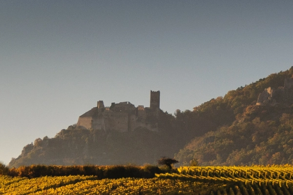 vignoble Alsacien et dégustation - Bonjour Fun