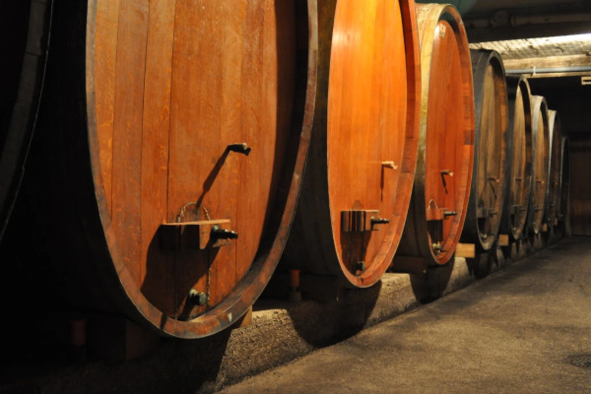 Vin nouveau chez le Vigneron Indépendant - Bonjour Fun