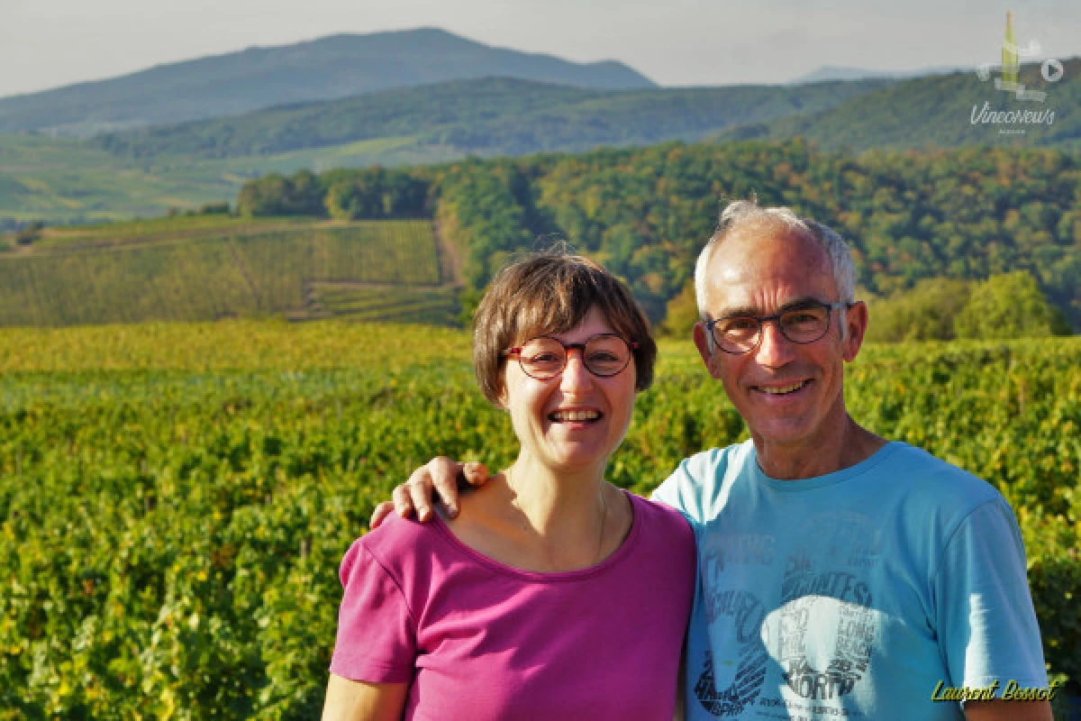 Vins et Saveurs - Bonjour Fun