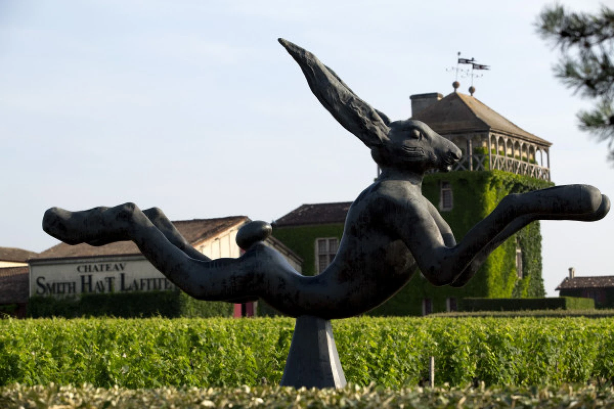 Private tour to Pessac-Léognan - Bonjour Fun