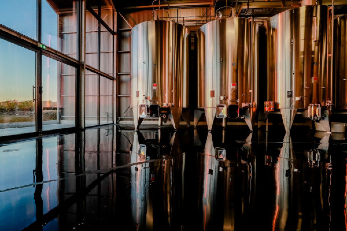 Visite Accords Vins et Fromages au Château Lauduc - Bonjour Fun