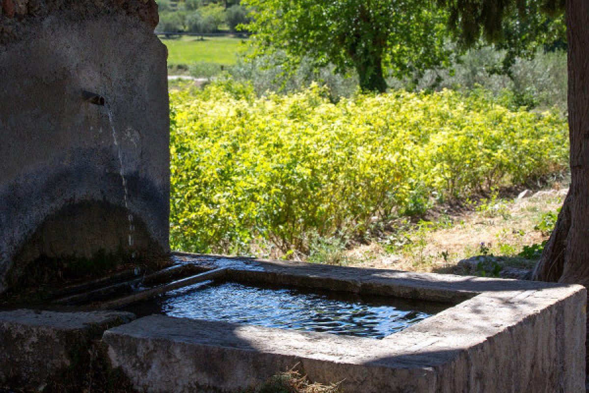 Visite commentée du village de Fayence - Bonjour Fun