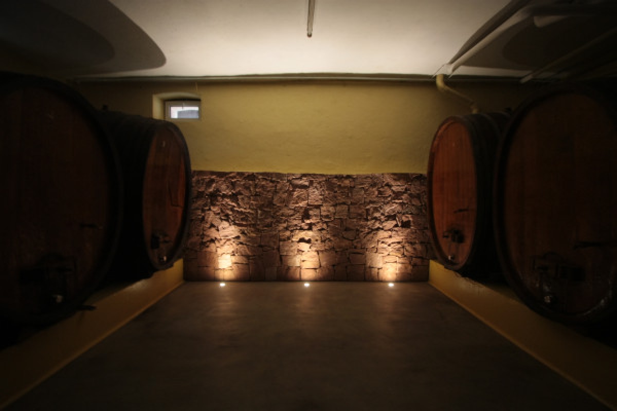 Visite de cave & dégustation - Formule Gourmande - Bonjour Fun