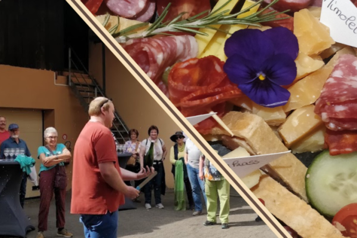 Visite de cave & dégustation - Formule Premium - Bonjour Fun