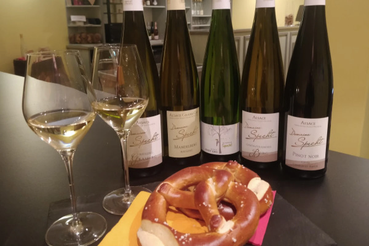 Visite de cave & dégustation - Formule traditionnelle - Bonjour Fun