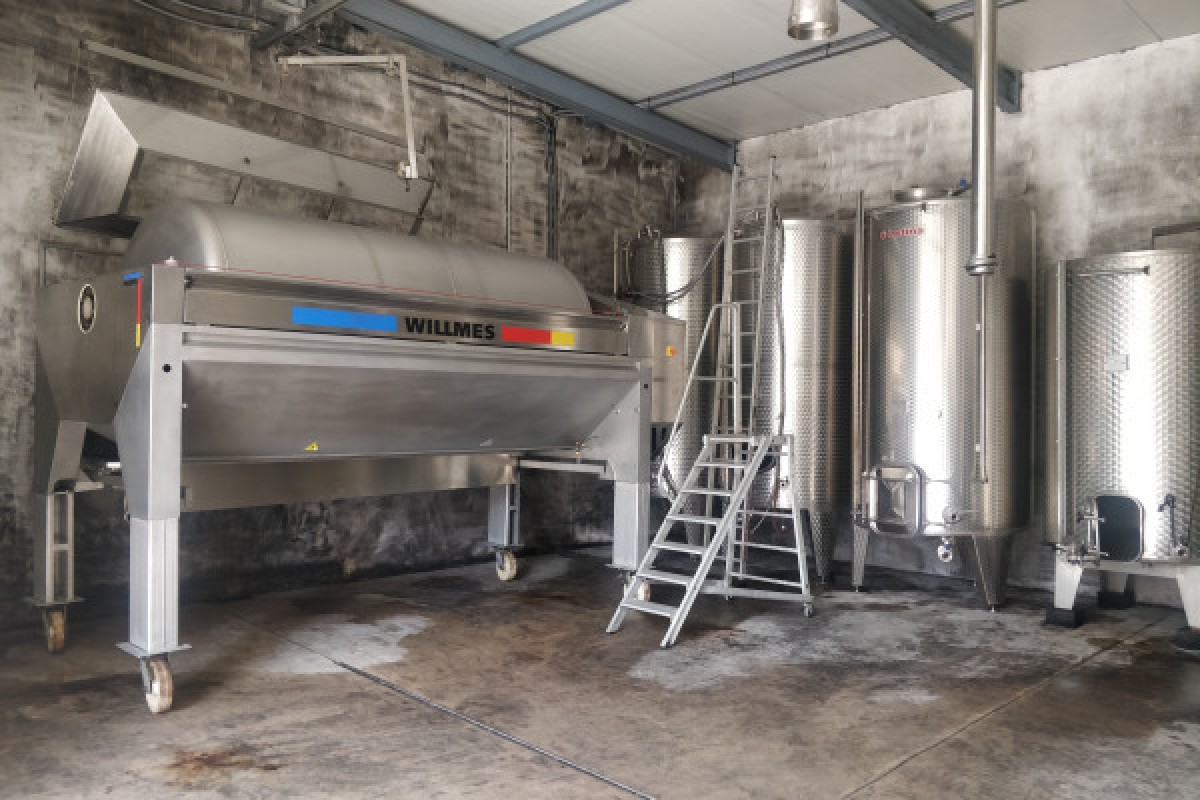 Visite de cave & dégustation - Formule traditionnelle - Bonjour Fun