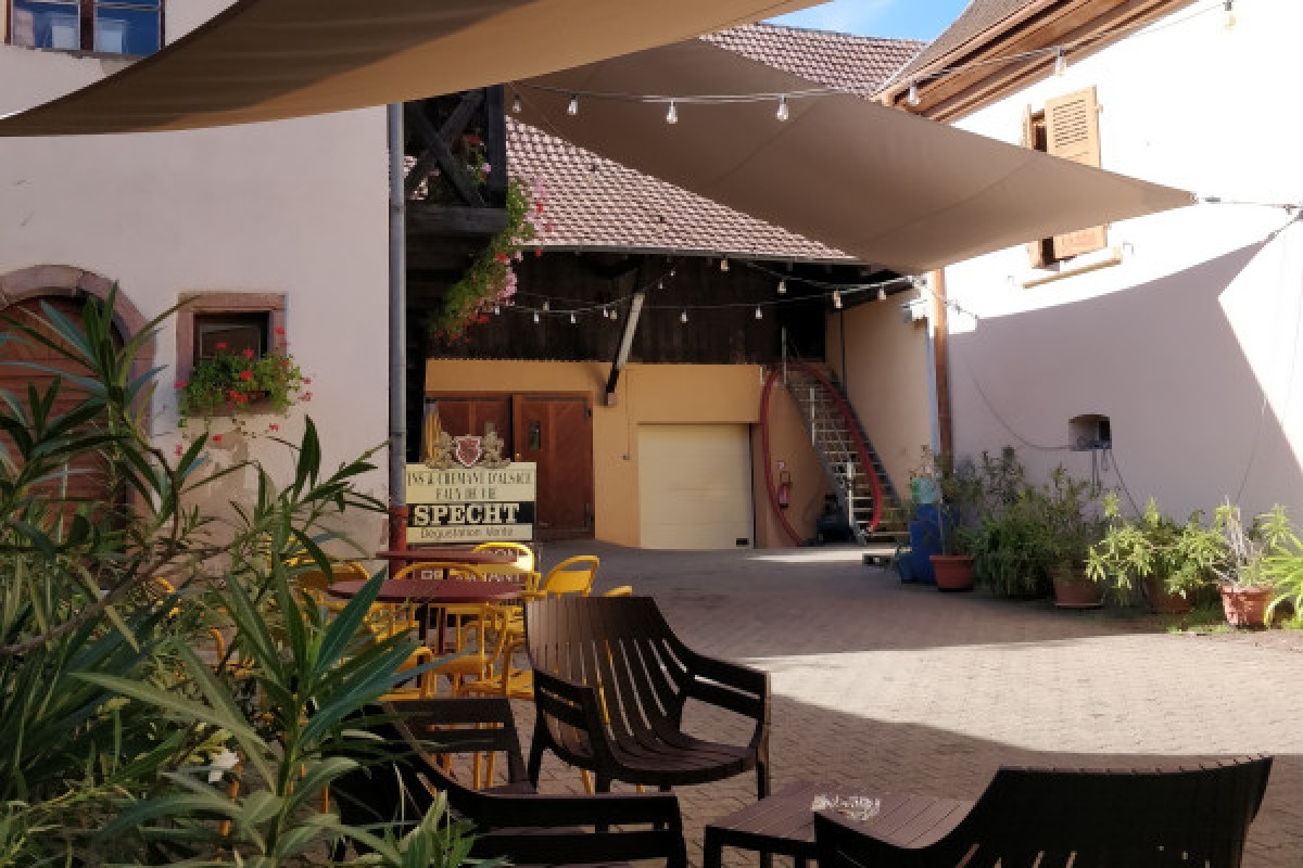 Visite de cave & dégustation - Formule traditionnelle - Bonjour Fun