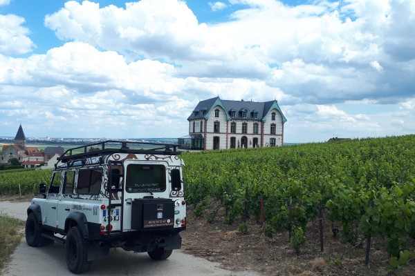 Visite de cave et balade dégustation dans le vignoble - Bonjour Fun