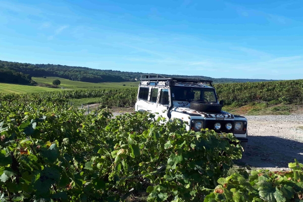 Visite de cave et balade dégustation dans le vignoble - Bonjour Fun