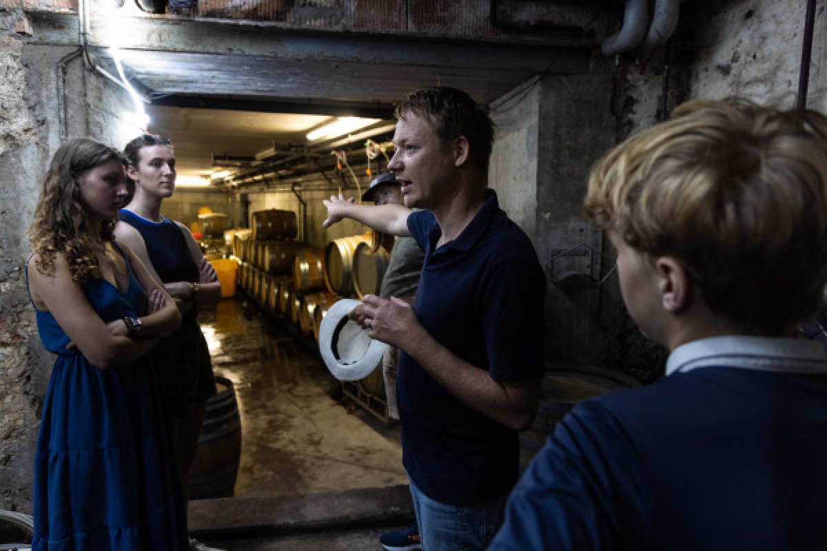 Visite de cave et découverte des vins d'Alsace - Bonjour Fun