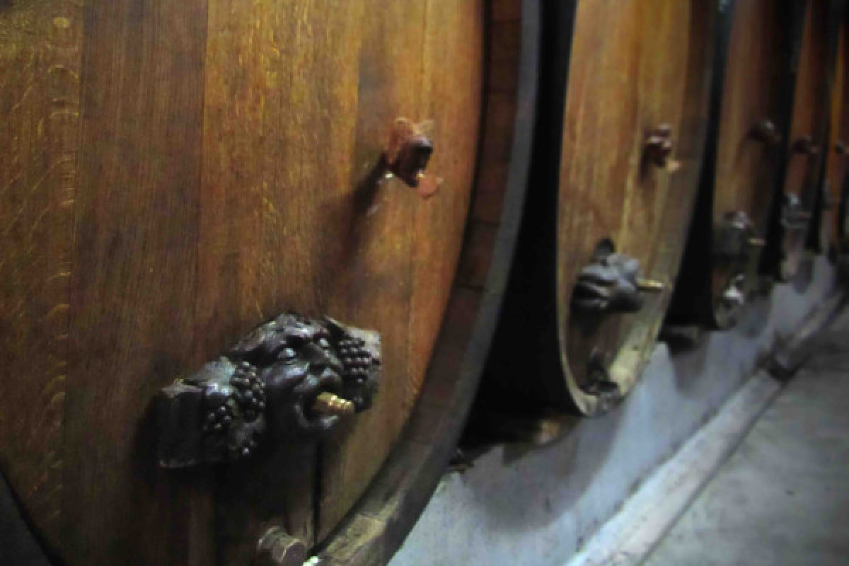 Visite de cave et dégustation de vin bio à Ammerschwihr - Bonjour Fun