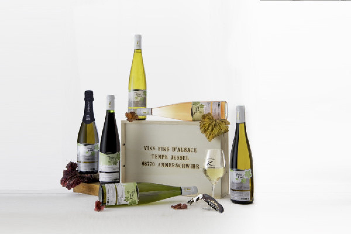 Visite de cave et dégustation de vin bio à Ammerschwihr - Bonjour Fun