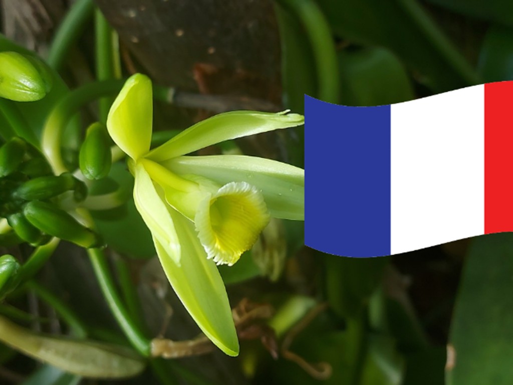 Visite de l'exploitation (en Français) - Bonjour Fun