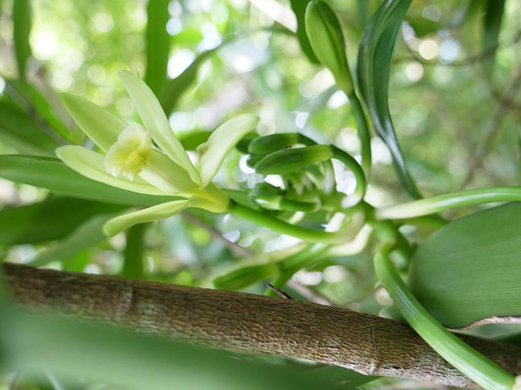 Visite de l'exploitation (en français) - Bonjour Fun