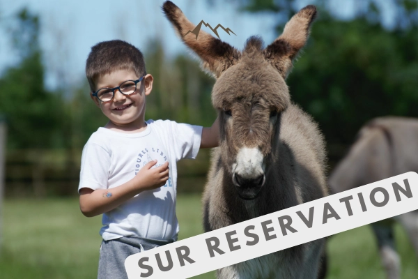 Visite de la ferme - Bonjour Fun