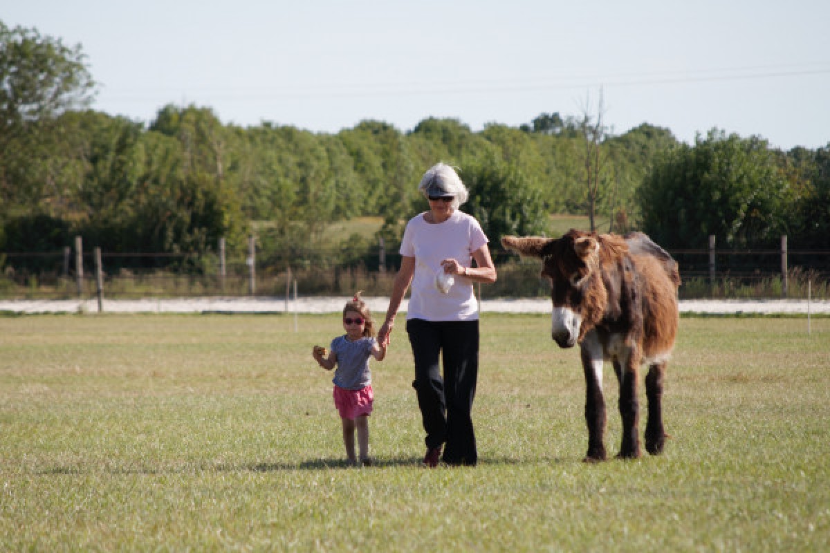 Visite de la ferme - Bonjour Fun