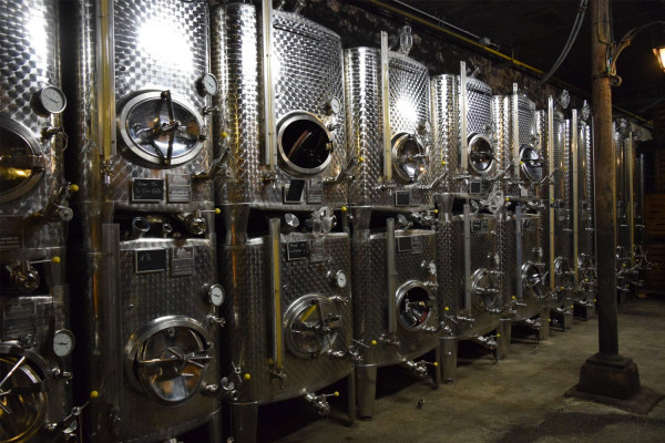 Visite découverte de nos caves - Bonjour Fun