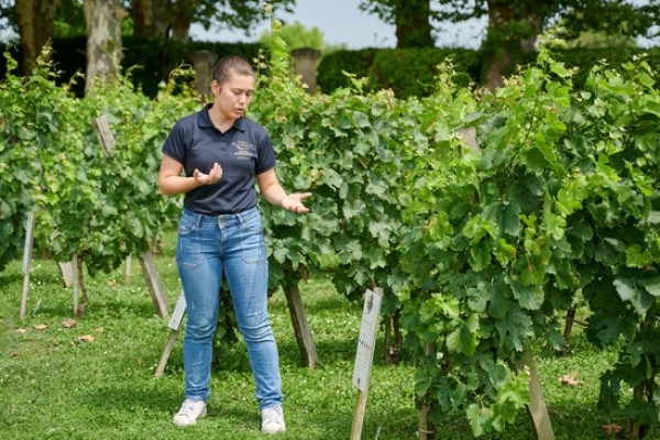 Visite découverte du Château Haut Breton Larigaudière - Bonjour Fun