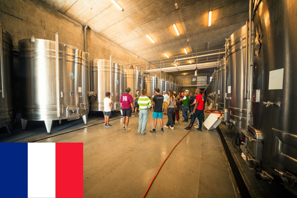 Visite Découverte en Français - Bonjour Fun