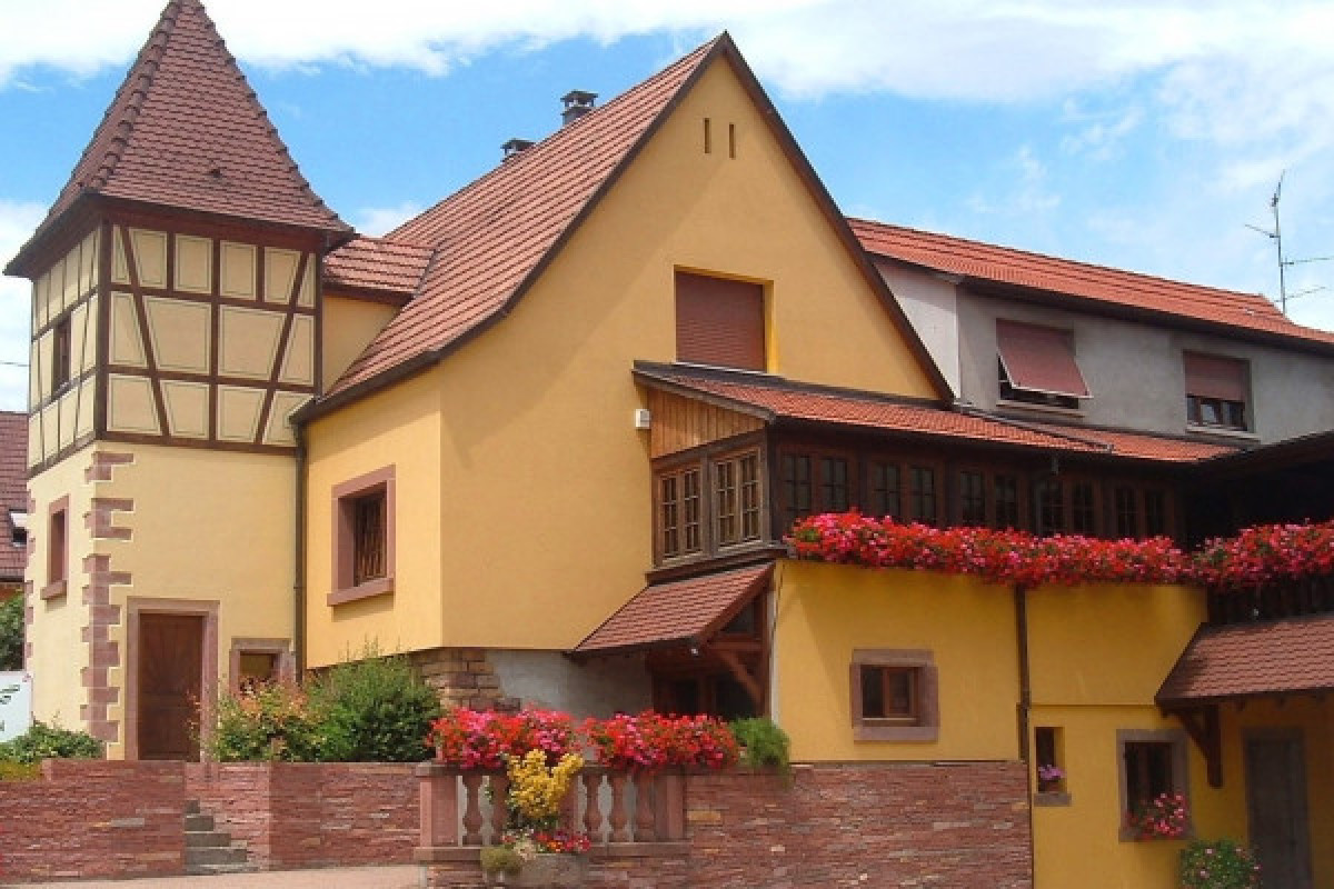 Visite Découverte - Bonjour Fun