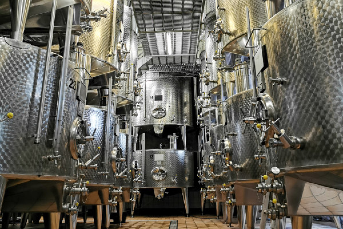 Visite Découverte - Bonjour Fun