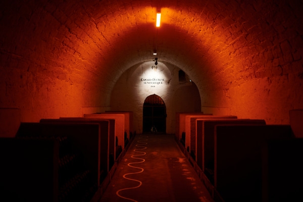 Visite & Dégustation Essentielle - Bonjour Fun