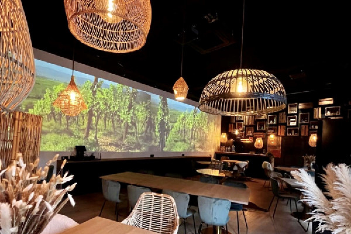 Visite, dégustation et repas alsacien - expérience 100% immersive - Bonjour Fun