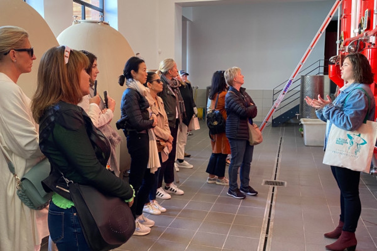 Visite & Dégustation - Bonjour Fun