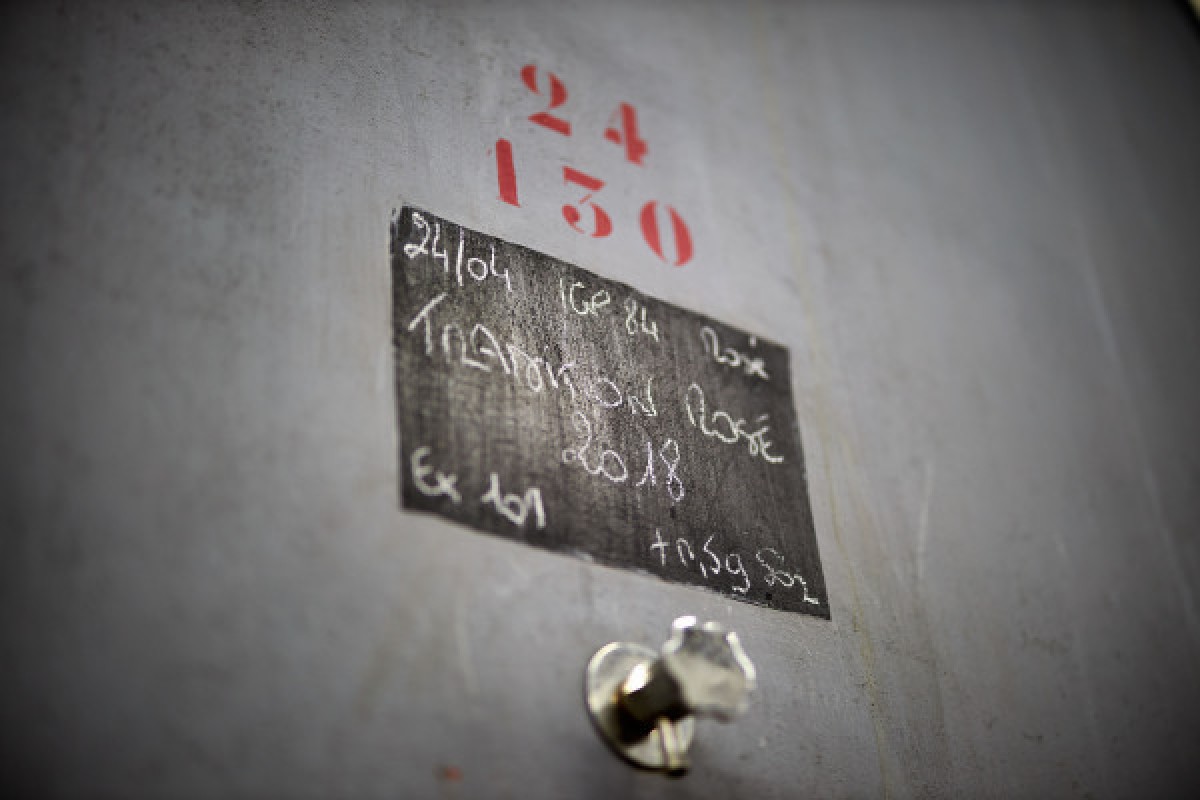 Visite des chais et dégustation - Bonjour Fun