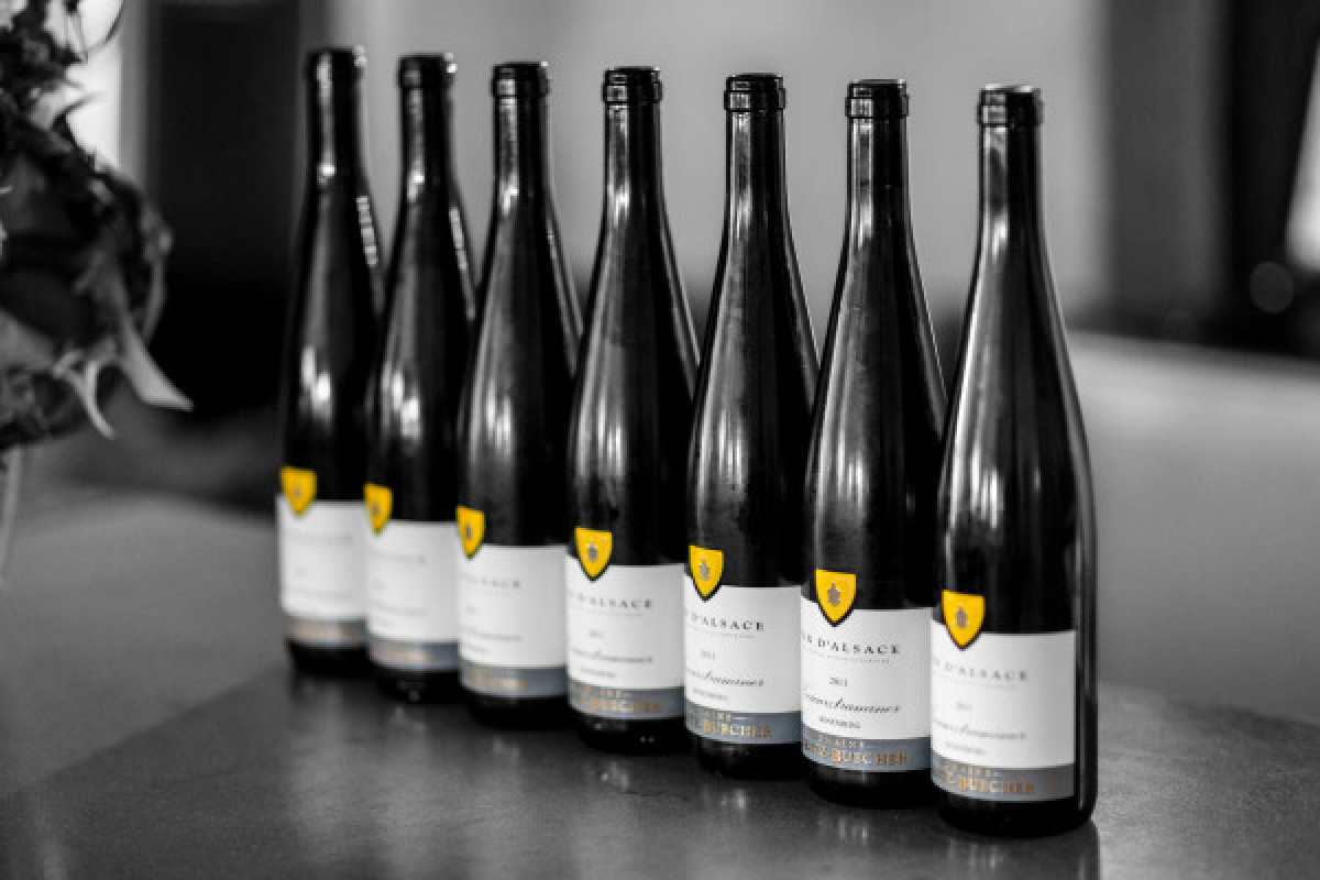 Visite du domaine et dégustation commentée - Bonjour Fun