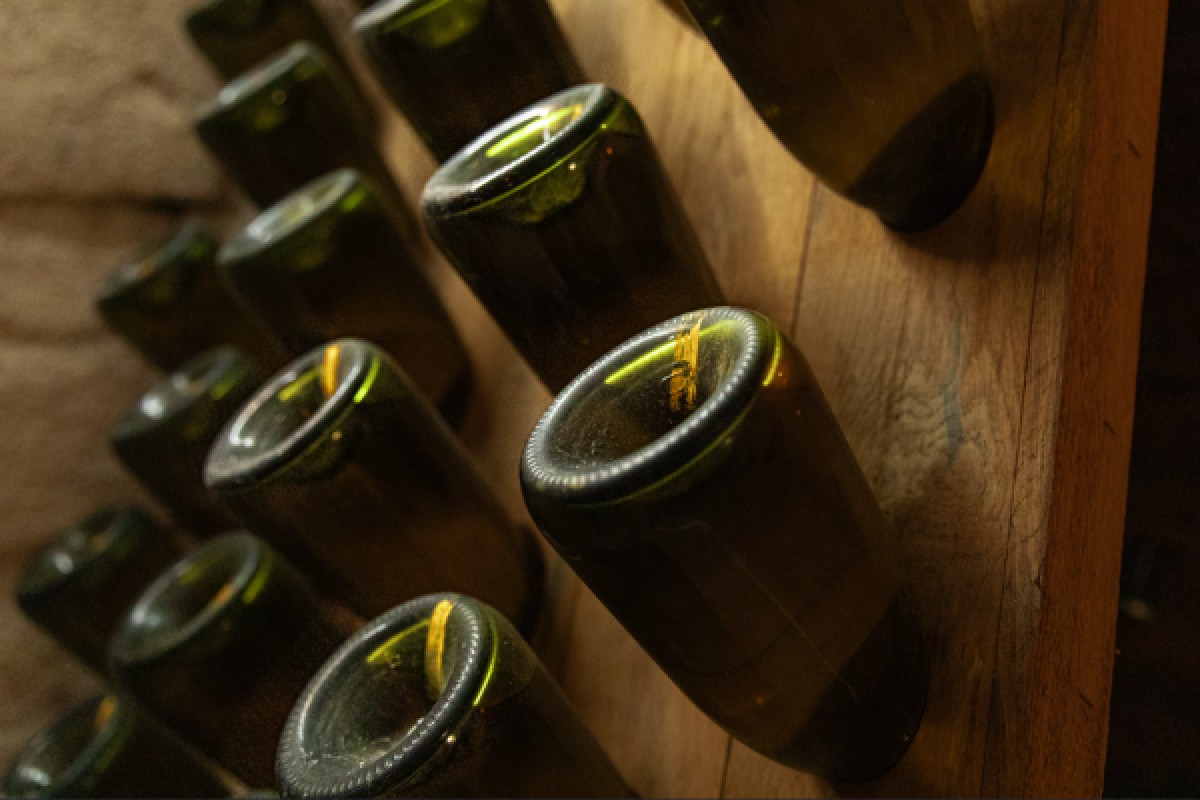 Visite Essentiel - Bonjour Fun