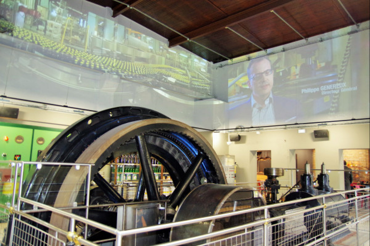 Visite et dégustation à la Villa METEOR à Hochfelden - Bonjour Fun