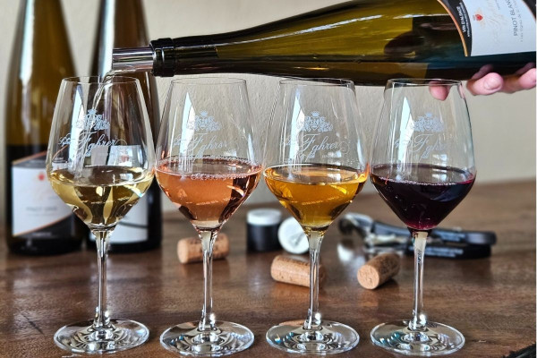 Visite guidée du domaine viticole en Alsace - Bonjour Fun