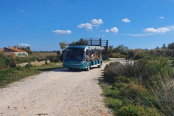 Visite guidée + sentiers de l'Etourneau - Bonjour Fun Visite guidée + sentiers de l'Etourneau - Bonjour Fun