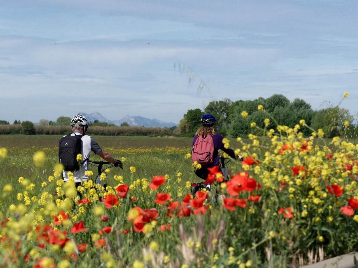 Visite Historique Provence Abbaye de Silvacane - Bonjour Fun