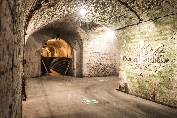 Visite & Initiation au Sabrage - Bonjour Fun