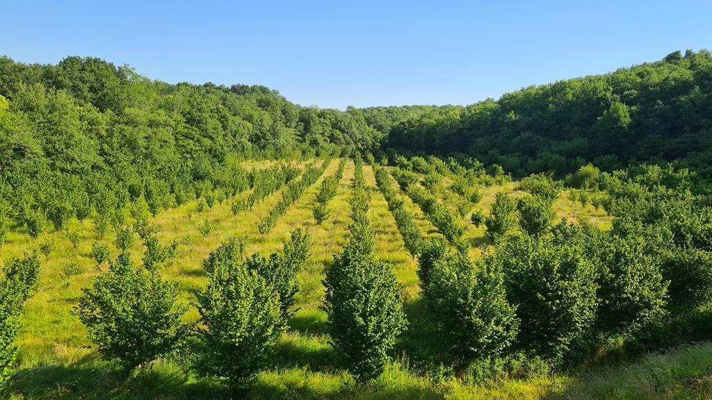 Visite longue gourmande par le créateur de l'entreprise - 20 produits dégustés - Bonjour Fun