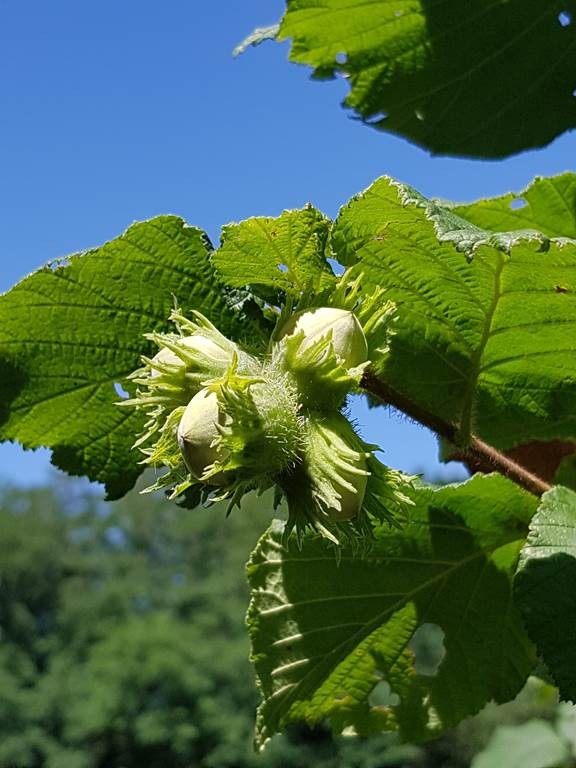 Visite longue gourmande par le créateur de l'entreprise - 20 produits dégustés - Bonjour Fun