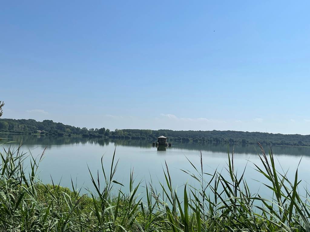 Visite Marais d'Orx en Trottinette électrique - Bonjour Fun
