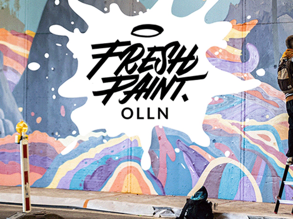 Visite Street Art LLN - Bonjour Fun