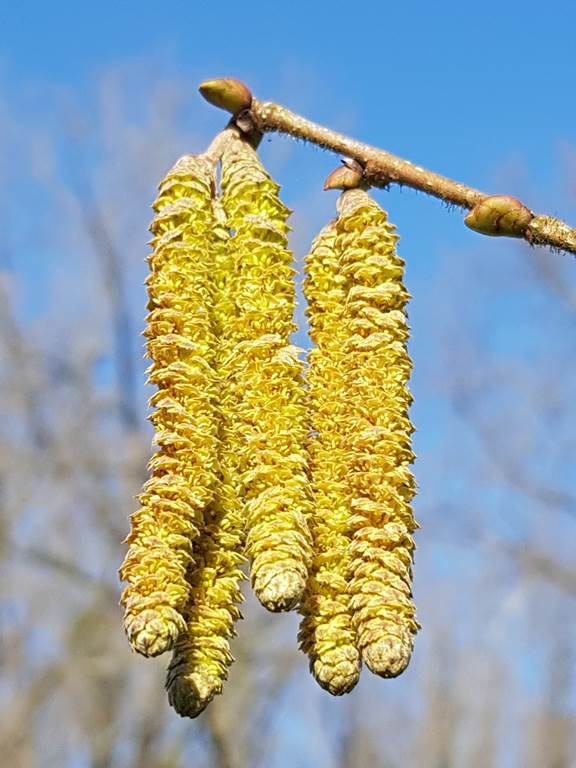 Visites privatisées - Bonjour Fun