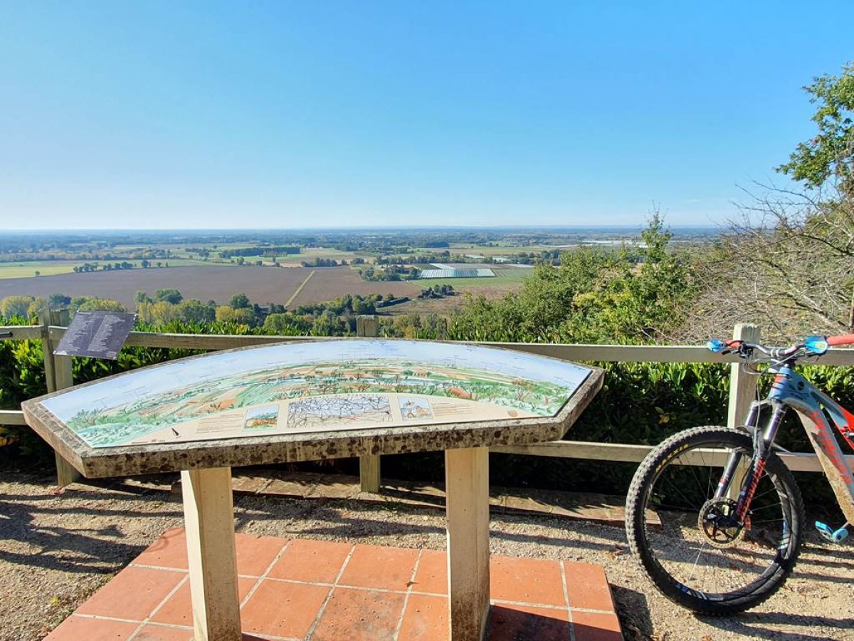 VTT AE (Electrique) - Bonjour Fun