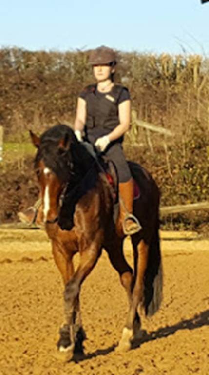 Western/ Dressage / Longues rênes - Bonjour Fun