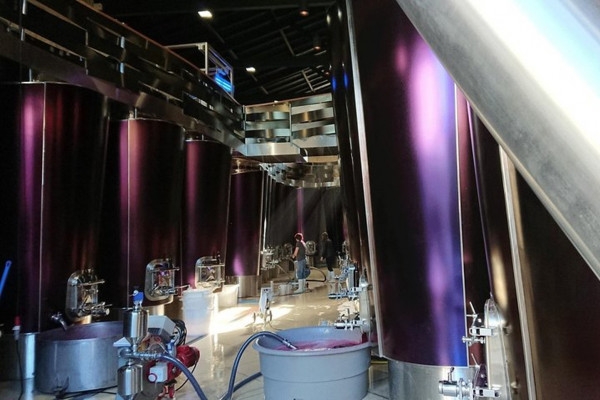 Wine tour à St-Émilion - Bonjour Fun