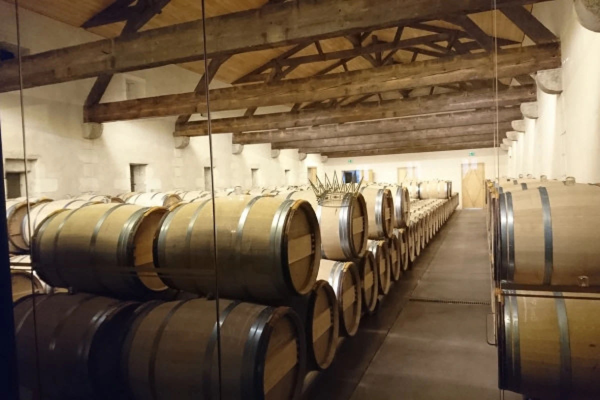 Wine tour à Sauternes & Pessac-Léognan - Bonjour Fun