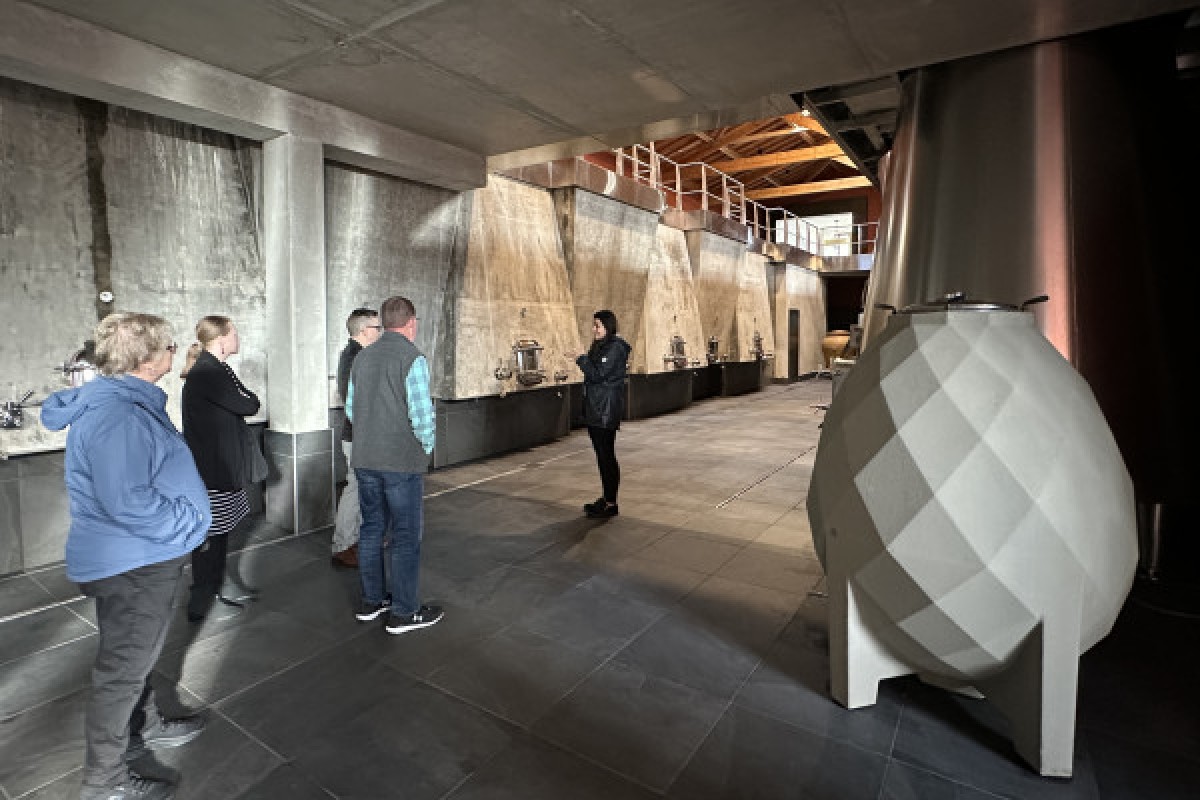 Wine tour Médoc en petit groupe (Mercedes EQV Luxe) - Bonjour Fun