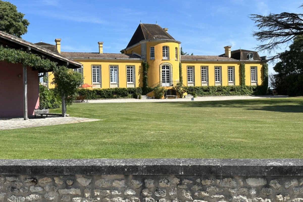 Wine tour Médoc en petit groupe (Mercedes EQV Luxe) - Bonjour Fun